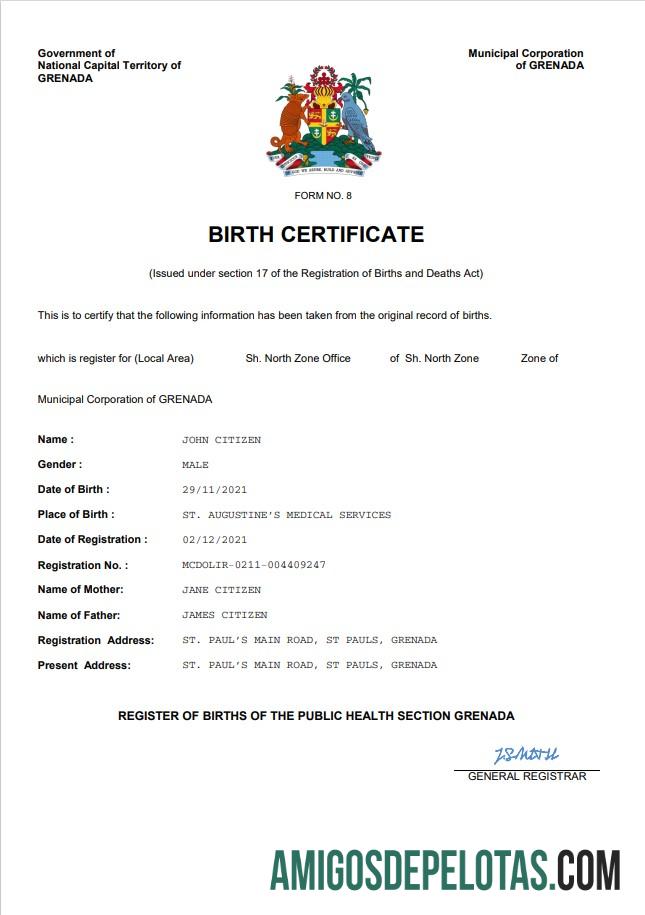 Realista modelo Word e PDF de certidão de nascimento de registro vital de Granada